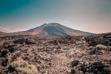 Teide © Rico Detjen