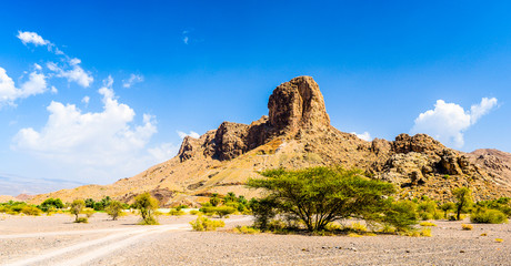 A outstanding rock along the way to Jebel Shams in Oman