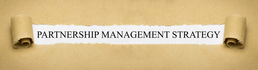 Partnership Management Strategy