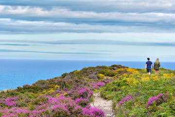 Beautiful view over Howth, Ireland