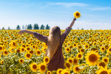 A happy, beautiful young girl with long white hair stands on a large field of sunflowers. Summer...