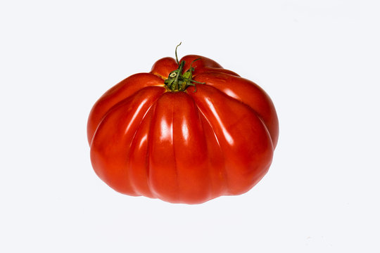 Ochsenherztomate