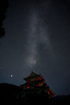 森の中で見えた星