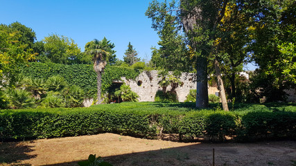 The Olive Grove, Lokrum, Dubrovnik 