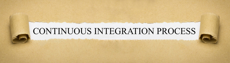 Continuous Integration Process