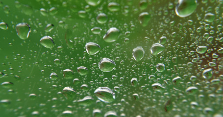 Heavy rainfall / raindrops on a window looking out to a mostly green garden