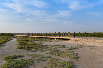 Beautiful aerial view of purple island