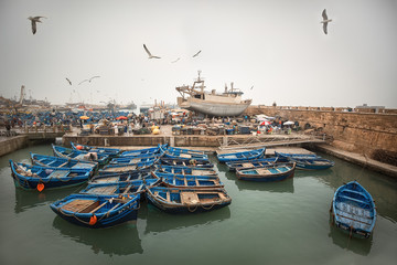 view of the port of essaouira
