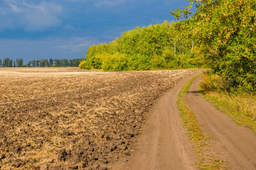 Fototapeta na wymiar Country road along a plowed field