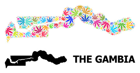 Vector Collage Map of the Gambia of Psychedelic Cannabis Leaves and Solid Map