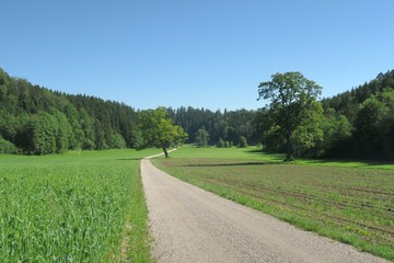 Am Bodensee-Königssee-Radweg: Bei Teisendorf