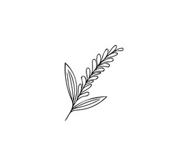 Flower  -  looks like wheat