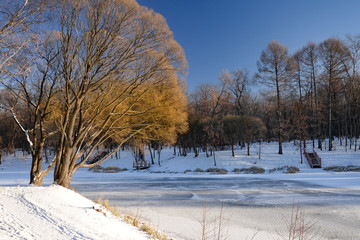 winter landscape with trees and river