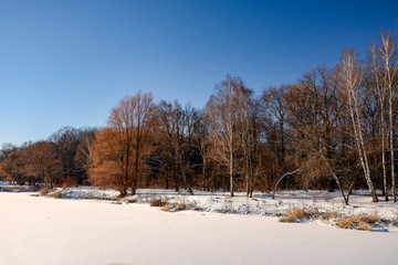 winter landscape with trees