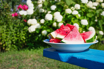 slices of ripe watermelon on a plate in the garden