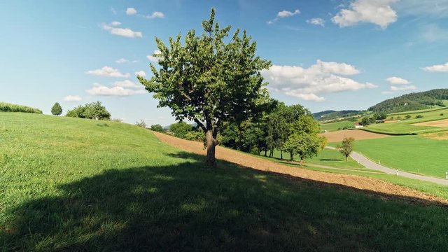Nature in Baselland in Switzerland. It was recorded in the afternoon. The camera movement is a rotation, that tracks the tree. In the middle of the picture is a empty street.