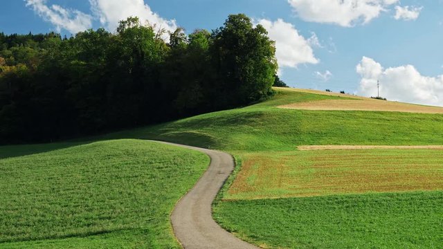 Nature in Baselland in Switzerland. In the middle of the picture is a empty street. The camera moves slowly from right to left.