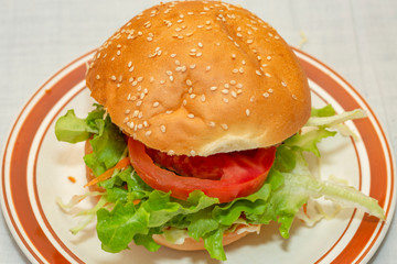 chicken burger on a white plate