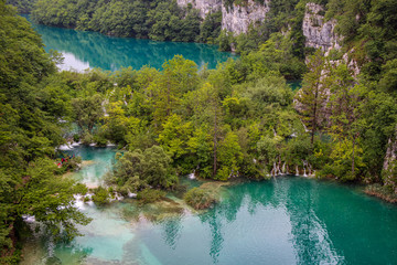 Water flowing through submerged trees between two lakes at Plitvice Lakes