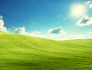 field of grass and perfect blue sky