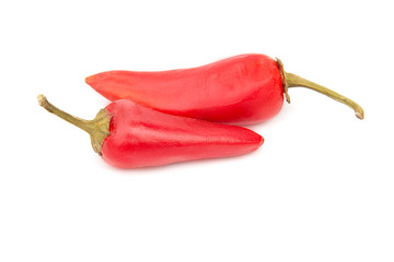 chili pepper isolated