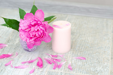 Obraz na płótnie Canvas Beautiful pink peony flowers and white candle on light grey stone background with copy space for your text top view. Greeting card, SPA and romantic concept.