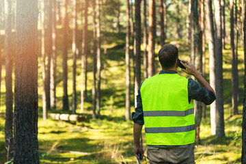 forester is watching the development of the forest. forestry and afforestation