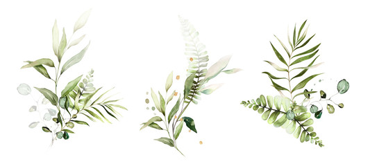 tropical watercolor herbal branch with leaves