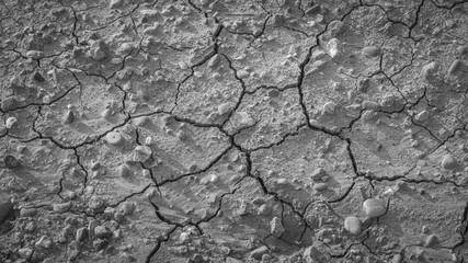 Texture of the mud