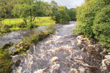 River Conway in Spate
