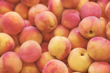 Tender ripe fragrant pink fruits of peaches, lie collected from the branches of trees in the summer. Rich harvest of sweet fruits.