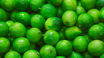 Bright green ripe fruits of refreshing lime lie in a pile, recently collected from the branches of trees. A rich harvest of citrus.