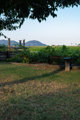Peque&ntilde;o huerto en una casa rural 