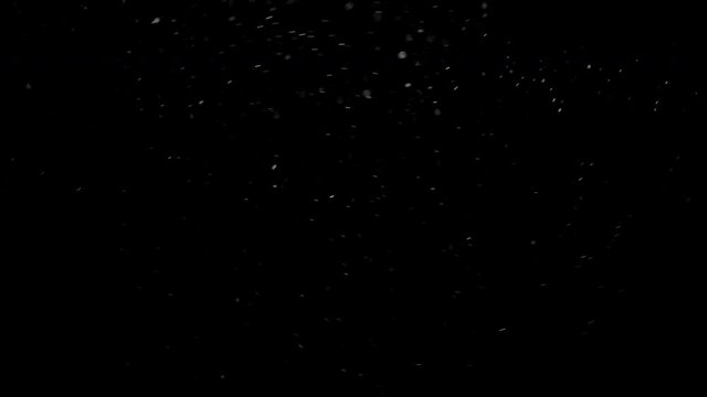 Motion performed by small particles. Floating particles on black background. Slow motion.