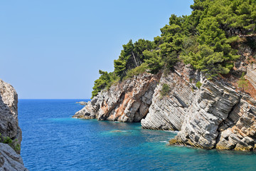 Fototapeta na wymiar The azure sea, and green pine trees growing on a picturesque cliff. Petrovac, Montenegro
