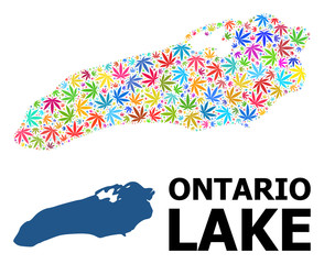 Vector Mosaic Map of Ontario Lake of Bright Weed Leaves and Solid Map