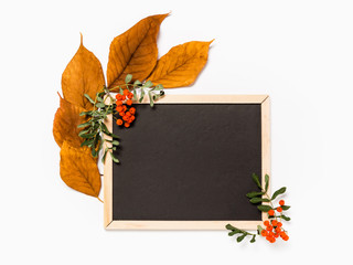 Autumn template with blank blackboard, yellow fall leaves, rowan branches and berries on white background. Seasonal sale, fall discount deal or back to school concept with copy space for your text