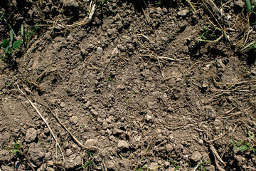 Texture of dry arable soil. Everything dry.