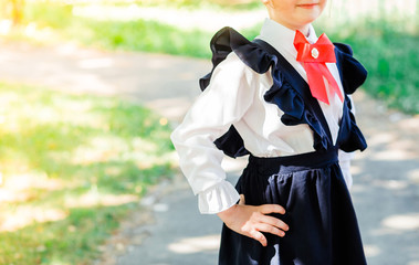 A girl in a navy blue school sundress, white blouse and red bow poses for the camera.