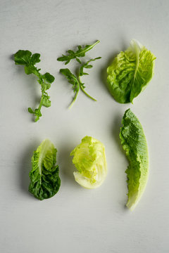 Rocket, Gem Lettuce, Butter lettuce, Iceberg lettuce, Cos lettuce