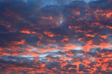 Colorful clouds in the evening sky during sunset. Red blue background.