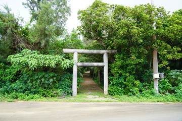 Fototapeta premium 海岸と空
