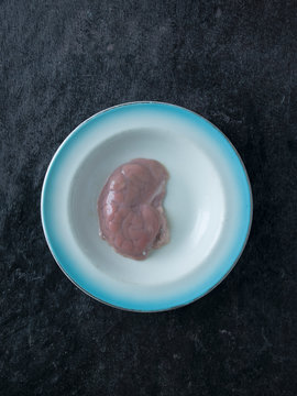 Lambs brain