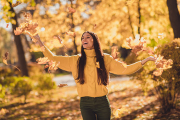 Photo of positive cheerful girl enjoy throw catch autumn air fly maple leaves in city center park woods wear pullover