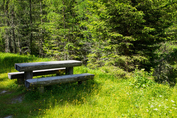 Nockalmstraße Nationalpark in Kärnten auf der Turracher Höhe.