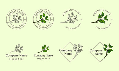 Nature cosmetics logo design collection can use for beauty salon, spa, yoga, fashion, hand drawn leaf illustration