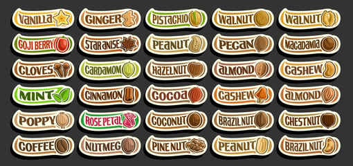 Vector set of Spices and Nuts, group of cut out cartoon raw spices and fresh nuts, various minimal design food signs for healthy nutrition, lot collection of isolated simple badges with variety words.