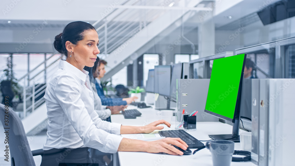 Poster Young Handsome Female Manager Works on a Desktop Computer with Green Screen Mock Up. Diverse and Motivated Business People Work on Computers in Modern Open Office.