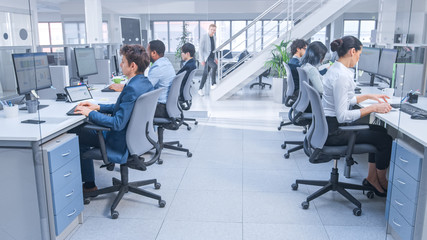 Diverse Team of Business Managers and Specialists Work on Desktop Computers with Two Rows of Tables Side by Side. Young and Motivated Business people in Modern Open Office.