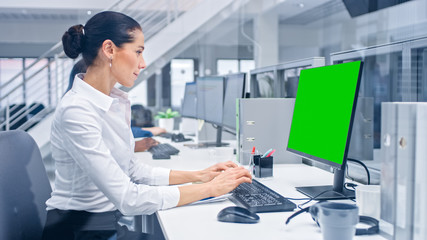 Young Handsome Female Manager Works on a Desktop Computer with Green Screen Mock Up. Diverse and Motivated Business People Work on Computers in Modern Open Office.
